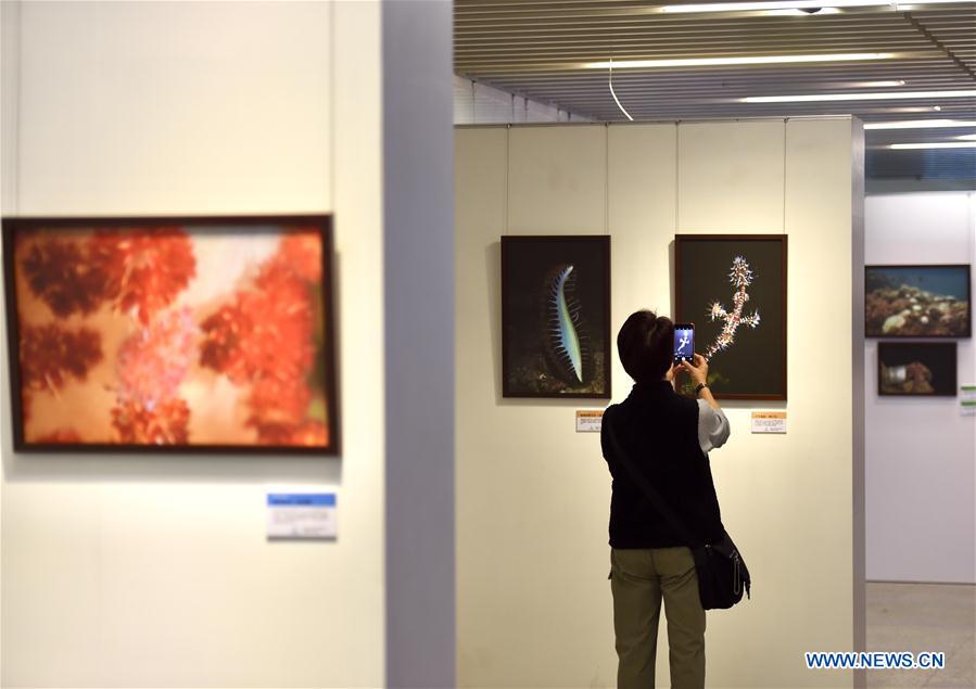 CHINA-TAICHUNG-PHOTO EXHIBITION (CN)