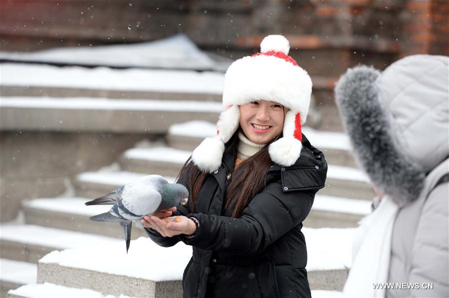 CHINA-HARBIN-SNOW (CN)