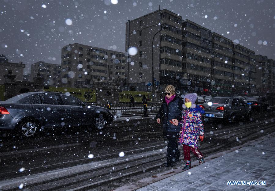 CHINA-JINLIN-SNOWFALL(CN)