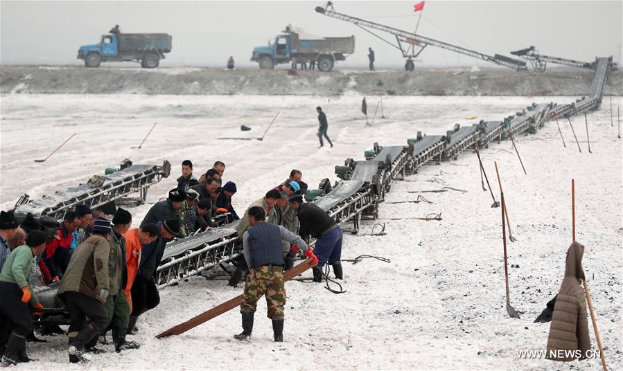 #CHINA-SHANXI-MIRABILITE-HARVEST (CN)