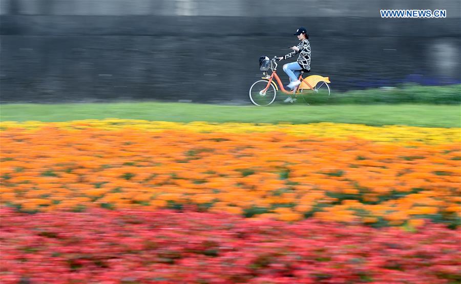 XINHUA PHOTO WEEKLY CHOICES 