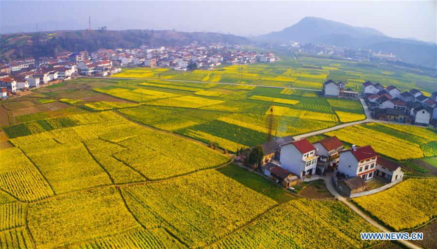 CHINA-SPRING SCENERY (CN)