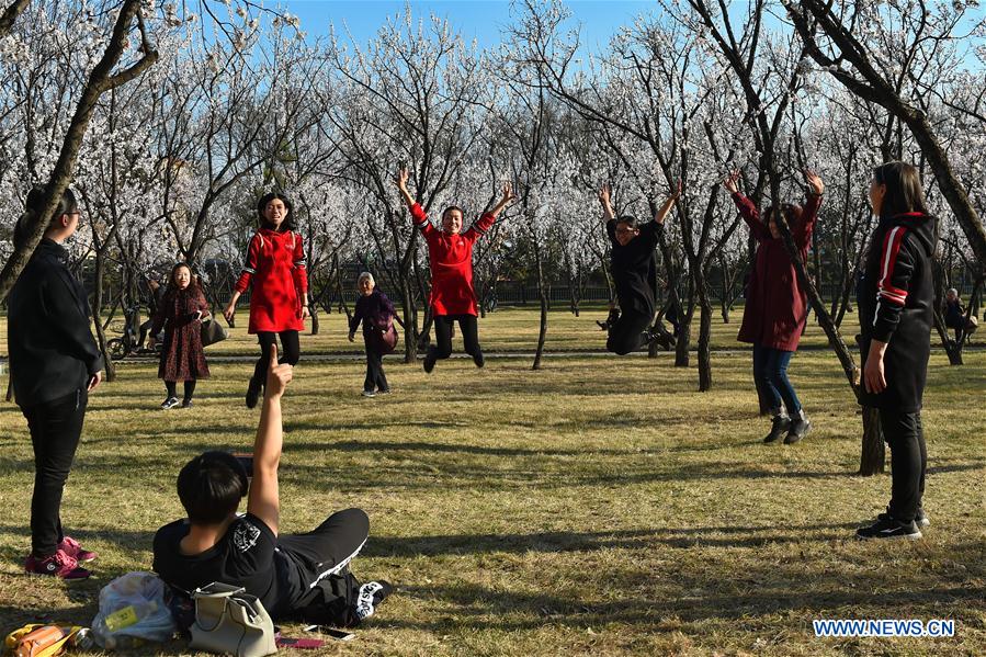 CHINA-SHANXI-ALMOND BLOSSOM-TOURISM (CN)