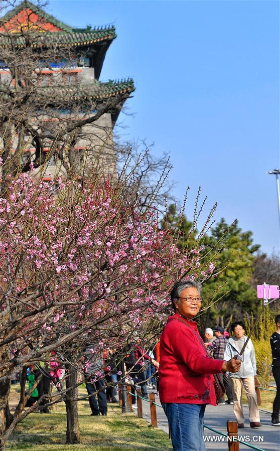 CHINA-BEIJING-FLOWERS (CN)