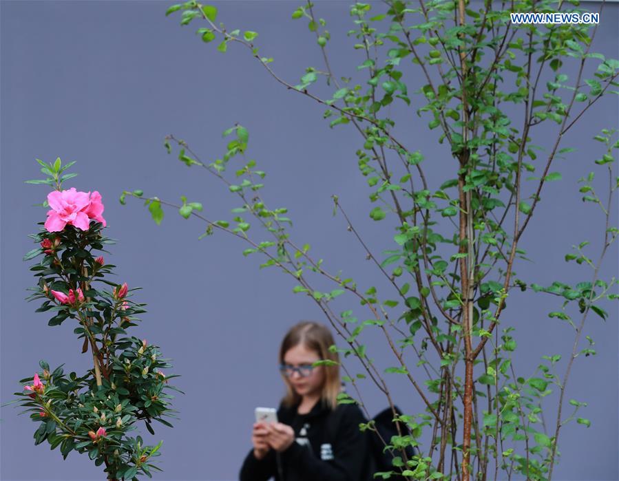 GERMANY-FRANKFURT-FLOWER EXHIBITION