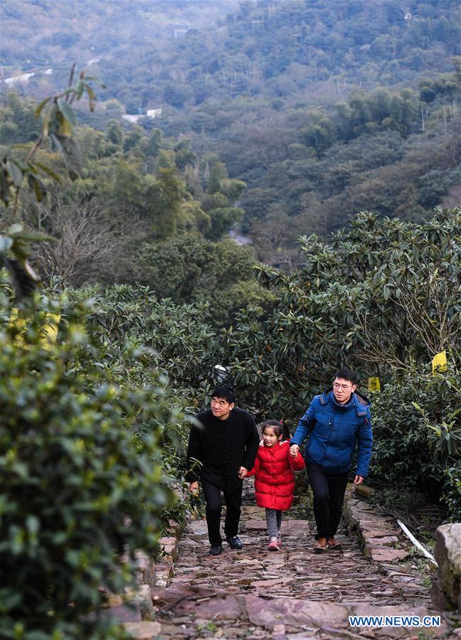 CHINA-JIANGSU-SUZHOU-TEA-MAKING (CN)