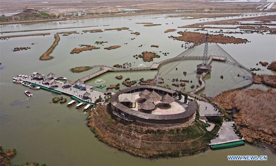 CHINA-NINGXIA-SHAHU-BIRDWATCHING (CN)