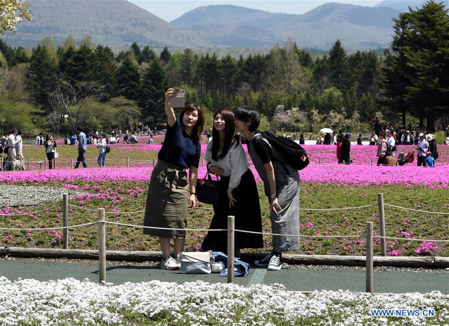 JAPAN-LAKE KAWAGUCHI-SHIBAZAKURA