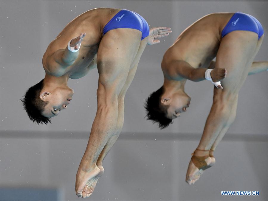 (SP)CHINA-WUHAN-DIVING-FINA-WORLD CUP (CN)