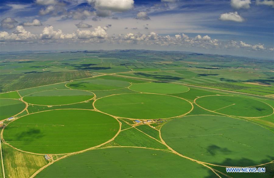 CHINA-HEBEI-ZHANGJIAKOU-FARMLAND (CN)