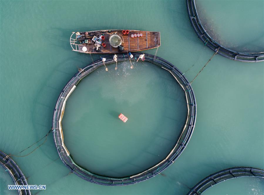 CHINA-ZHEJIANG-WENZHOU-MARICULTURE (CN)