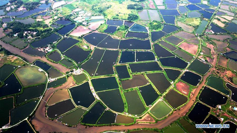 CHINA-GUANGXI-QINZHOU-PONDS-SCENERY (CN)