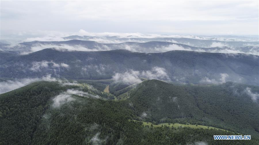 #CHINA-HEBEI-SAIHANBA NATIONAL FOREST PARK-SCENERY (CN)