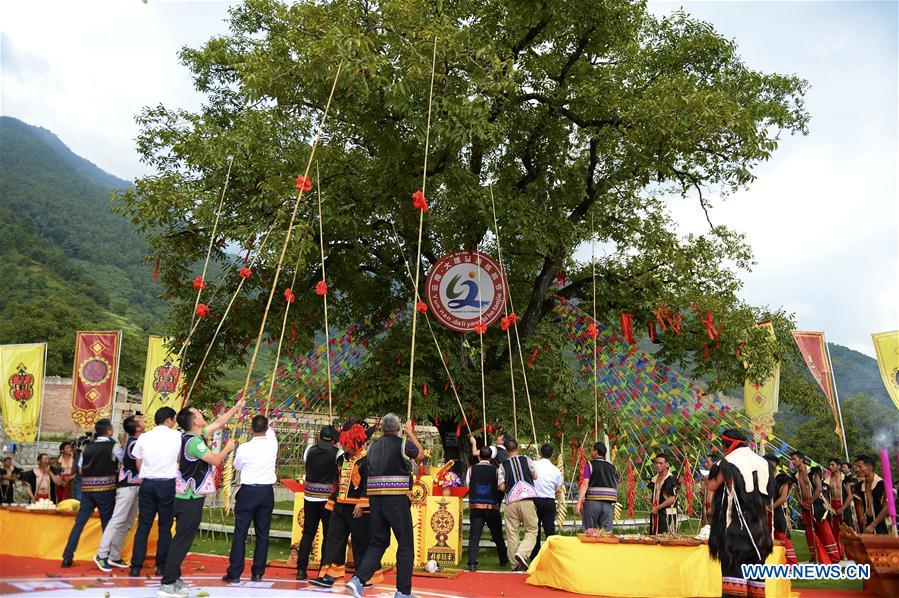 CHINA-YUNNAN-YANGBI-WALNUT PICKING FESTIVAL-TOURISM (CN)