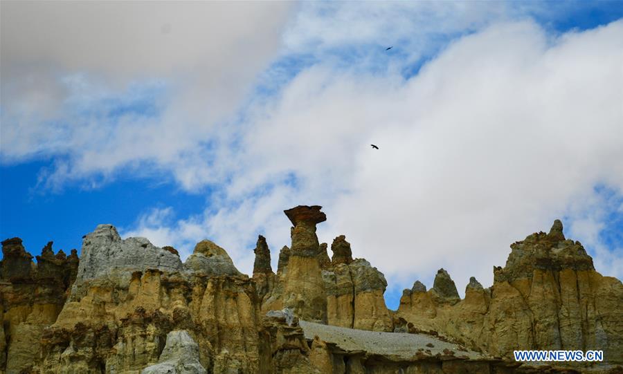 CHINA-TIBET-ALI-SCENERY-EARTH FOREST (CN)