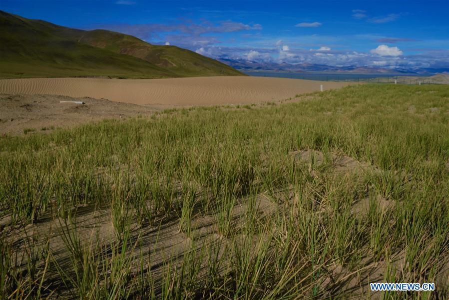 CHINA-TIBET-YARLUNG ZANGBO RIVER-SOURCE-PROTECTION (CN)