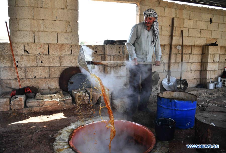 SYRIA-SWEIDA-GRAPE-MOLASSES-PRODUCTION