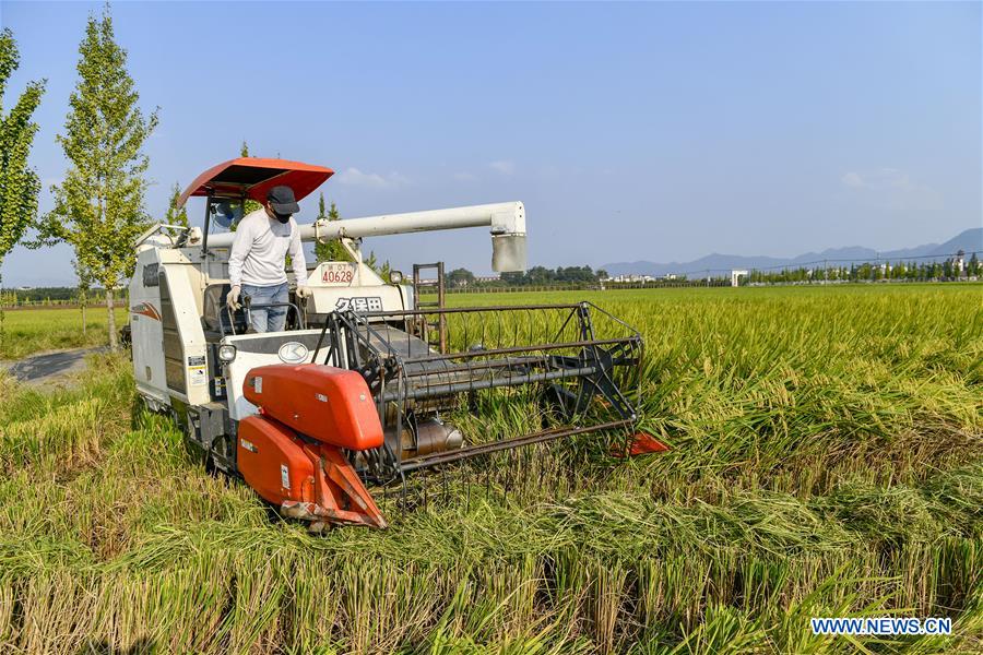 #CHINA-ZHEJIANG-FARMWORK (CN)