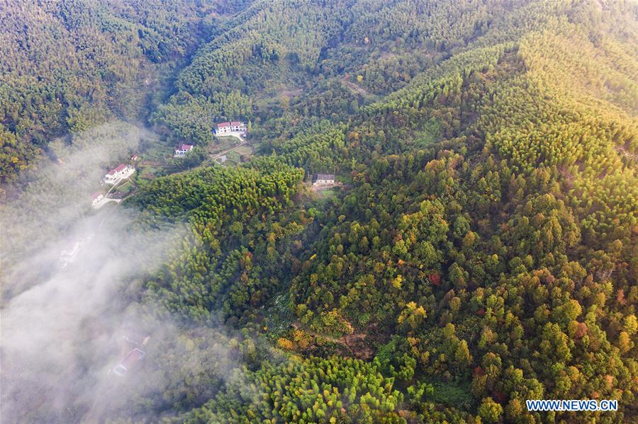 #CHINA-ANHUI-DABIESHAN MOUNTAIN-SCENERY (CN)