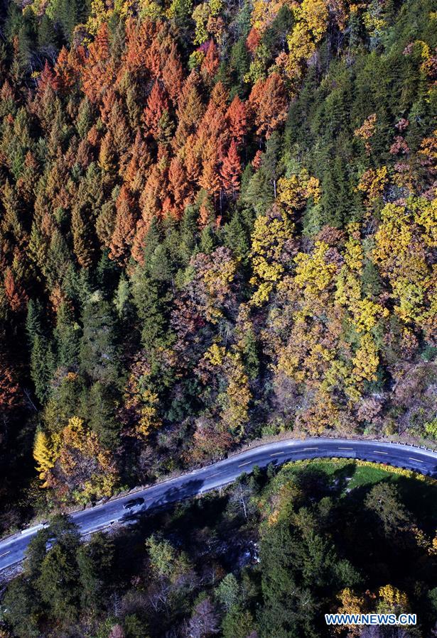 CHINA-QINLING MOUNTAINS-AUTUMN SCENERY(CN)