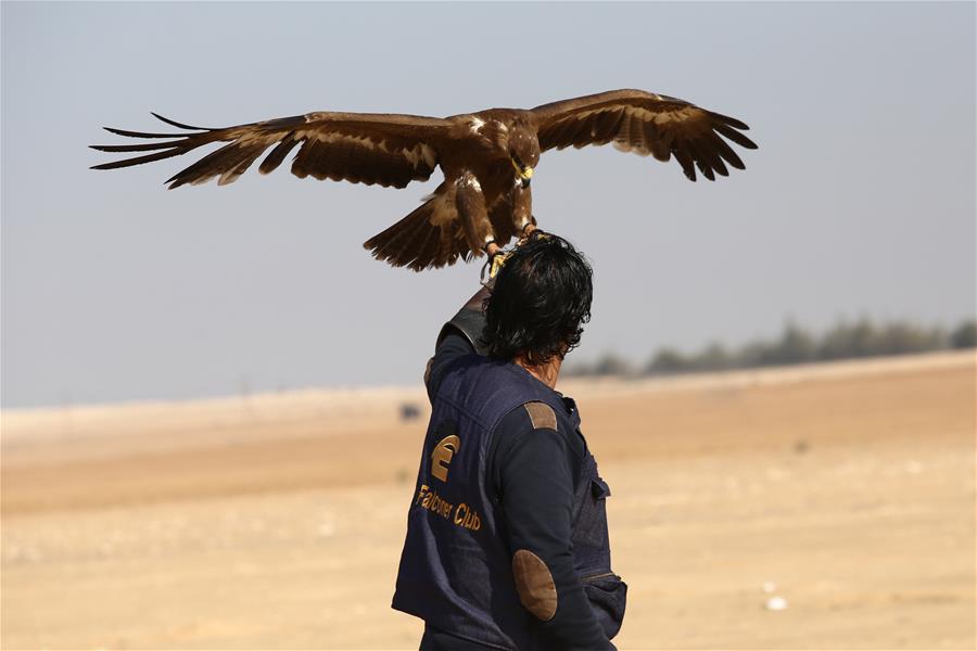 EGYPT-ALEXANDRIA-WORLD FALCONRY DAY-FALCONERS