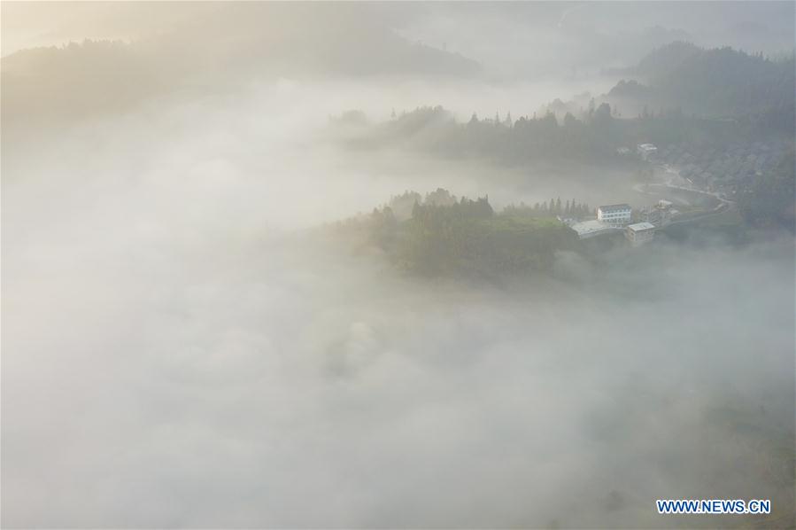 CHINA-GUANGXI-TEA GARDEN (CN)