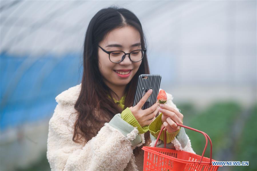 CHINA-ZHEJIANG-DONGLIN-ECOLOGICAL AGRICULTURE (CN)