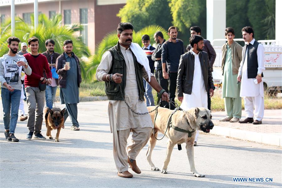 PAKISTAN-ISLAMABAD-DOG SHOW