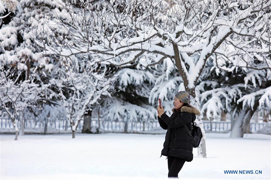 #CHINA-SHANDONG-SNOWFALL (CN)