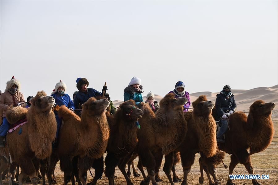 CHINA-INNER MONGOLIA-CAMEL NADAM (CN)