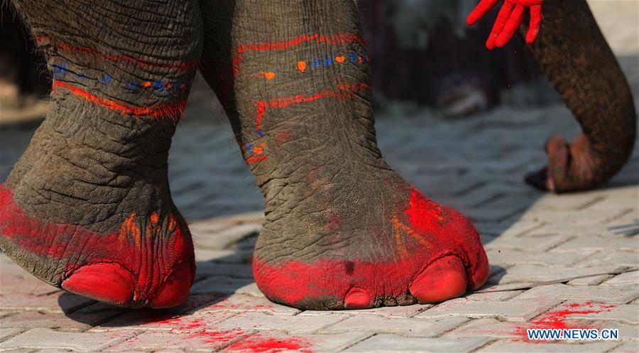 NEPAL-CHITWAN-ELEPHANT FESTIVAL-BEAUTY CONTEST