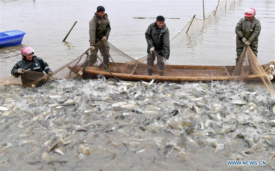 CHINA-JIANGXI-NANCHANG-FISHING (CN)