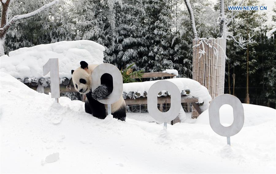 SOUTH KOREA-YONGIN-EVERLAND-PANDA WORLD-OPEN TO PUBLIC-1000 DAYS