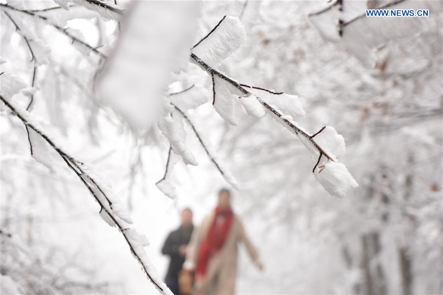 CHINA-HUNAN-SHUANGFENG-RIME ICE (CN)