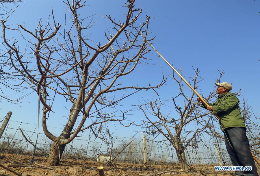 #CHINA-SPRING-FARMING (CN)