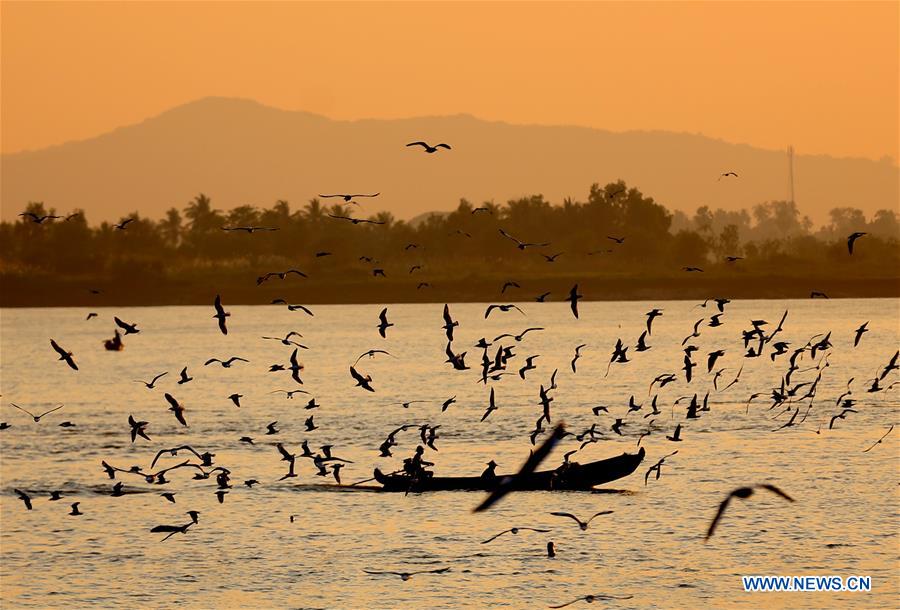 MYANMAR-MAWLAMYINE-GULLS-SUNSET