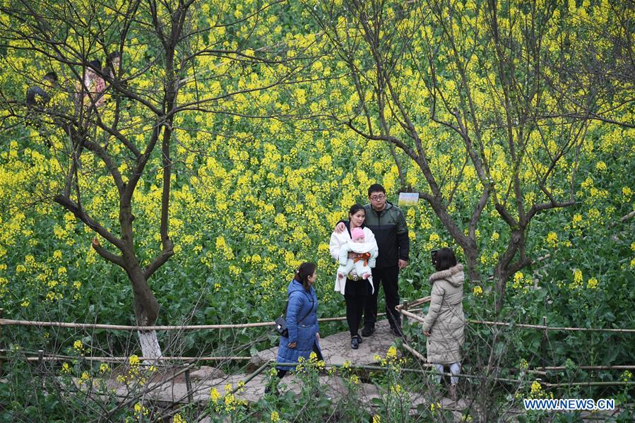 CHINA-CHONGQING-COLE FLOWER (CN) 