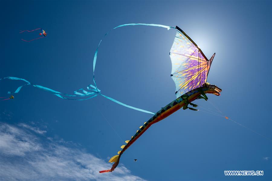 U.S.-LOS ANGELES-KITE FESTIVAL