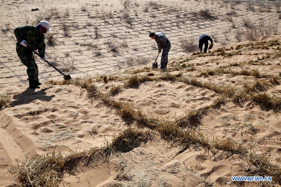 #CHINA-GANSU-ZHANGYE-DESERT CONTROL (CN)