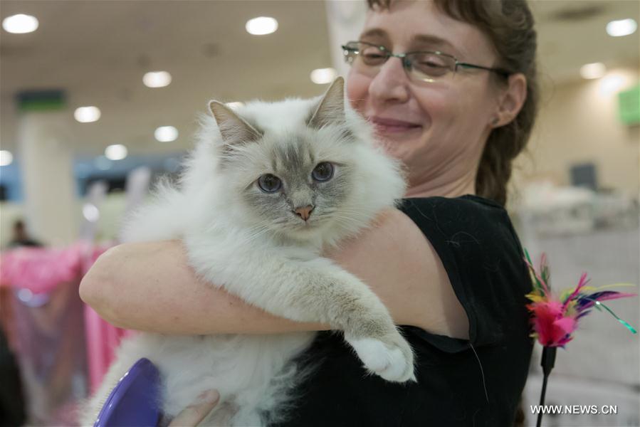 HUNGARY-BUDAPEST-INTERNATIONAL CAT SHOW 