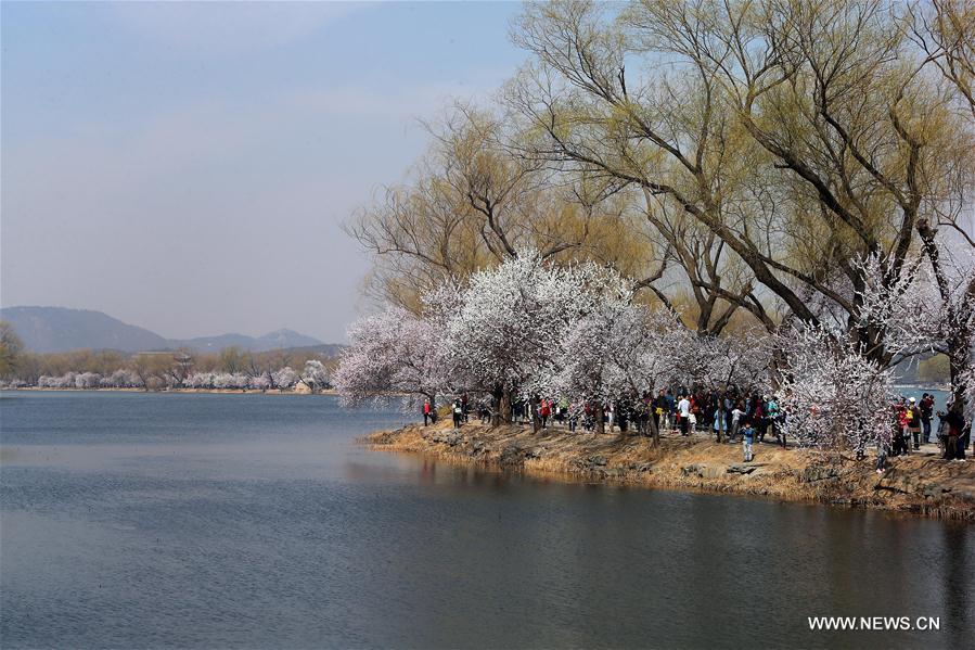 CHINA-BEIJING-SUMMER PALACE-SCENERY (CN)