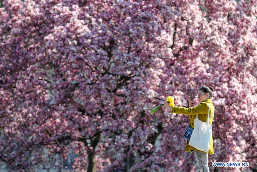 CROATIA-ZAGREB-FLOWERS