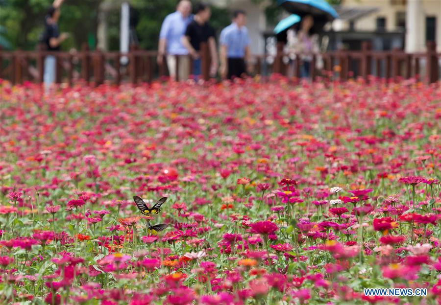 CHINA-BOAO-VILLAGE-SPRING SCENERY (CN)