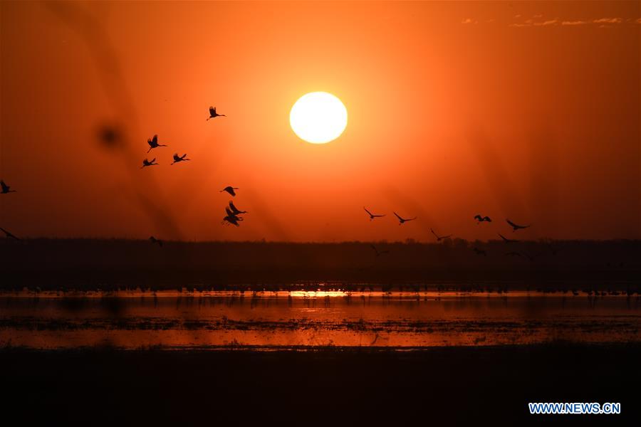 XINHUA PHOTOS OF THE DAY