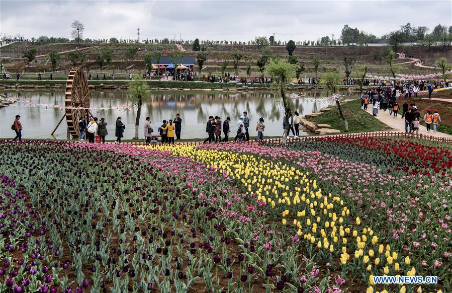 CHINA-SHAANXI-LUONAN-TULIP-TOURISM(CN)