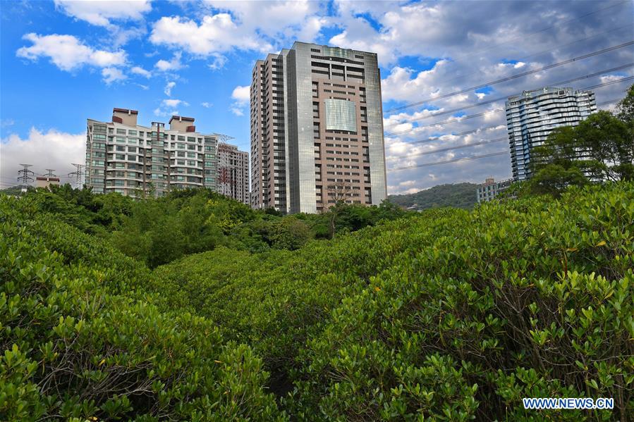 CHINA-TAMSUI RIVER-SCENERY (CN)