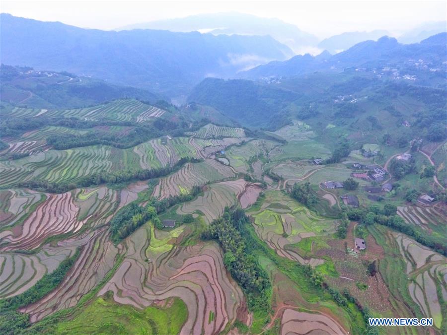 CHINA-SICHUAN-TERRACED LANDS (CN)