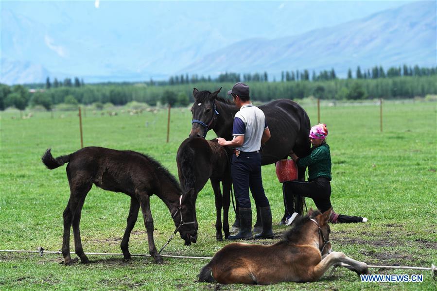 CHINA-XINJIANG-NARAT-TOURISM (CN)