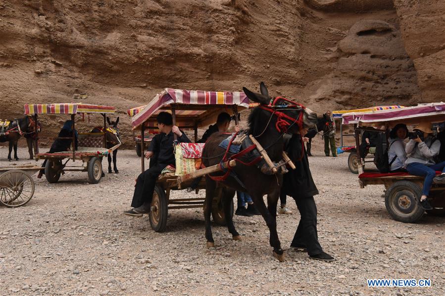 CHINA-GANSU-JINGTAI-DONKEY RIDE-BUSINESS (CN)