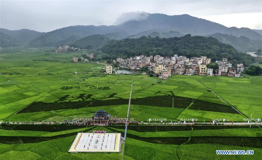 CHINA-GUANGDONG-DEQING-RICE PADDY-ART (CN)